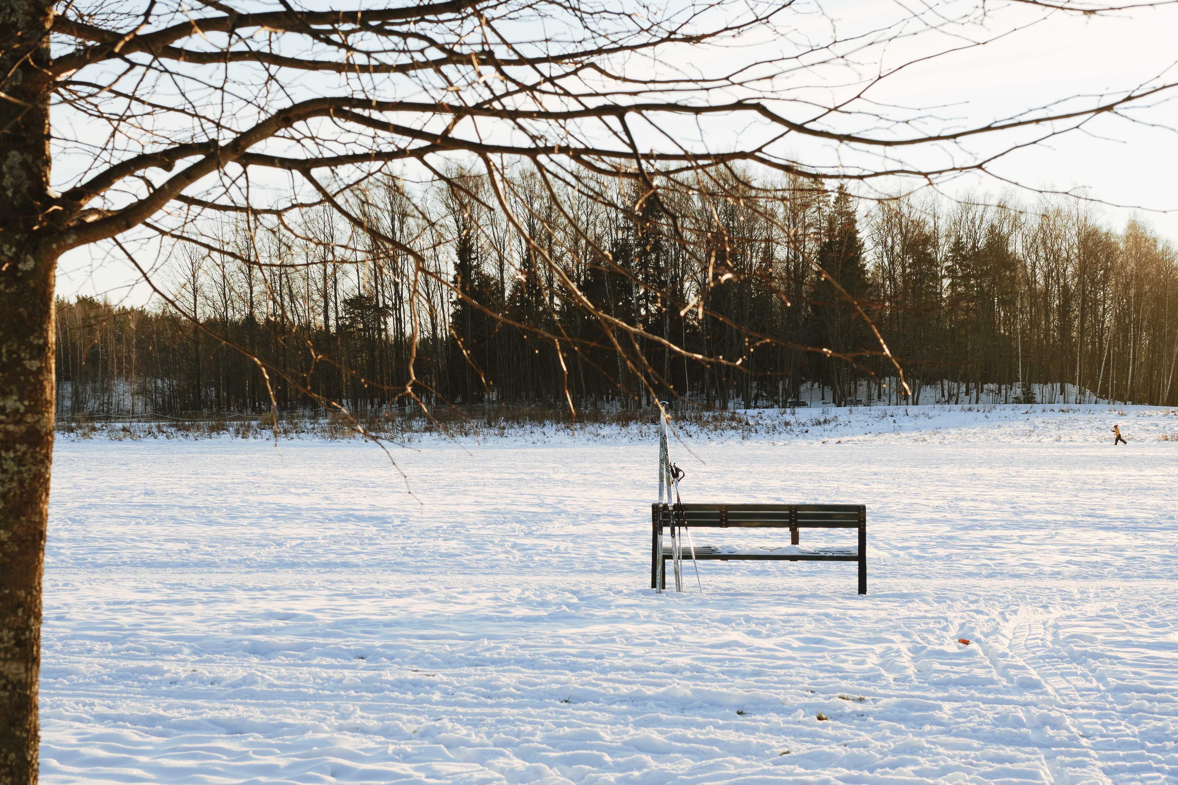 A winter scene with lots of snow, a park bench, and a pair of skis leaning on the bench.