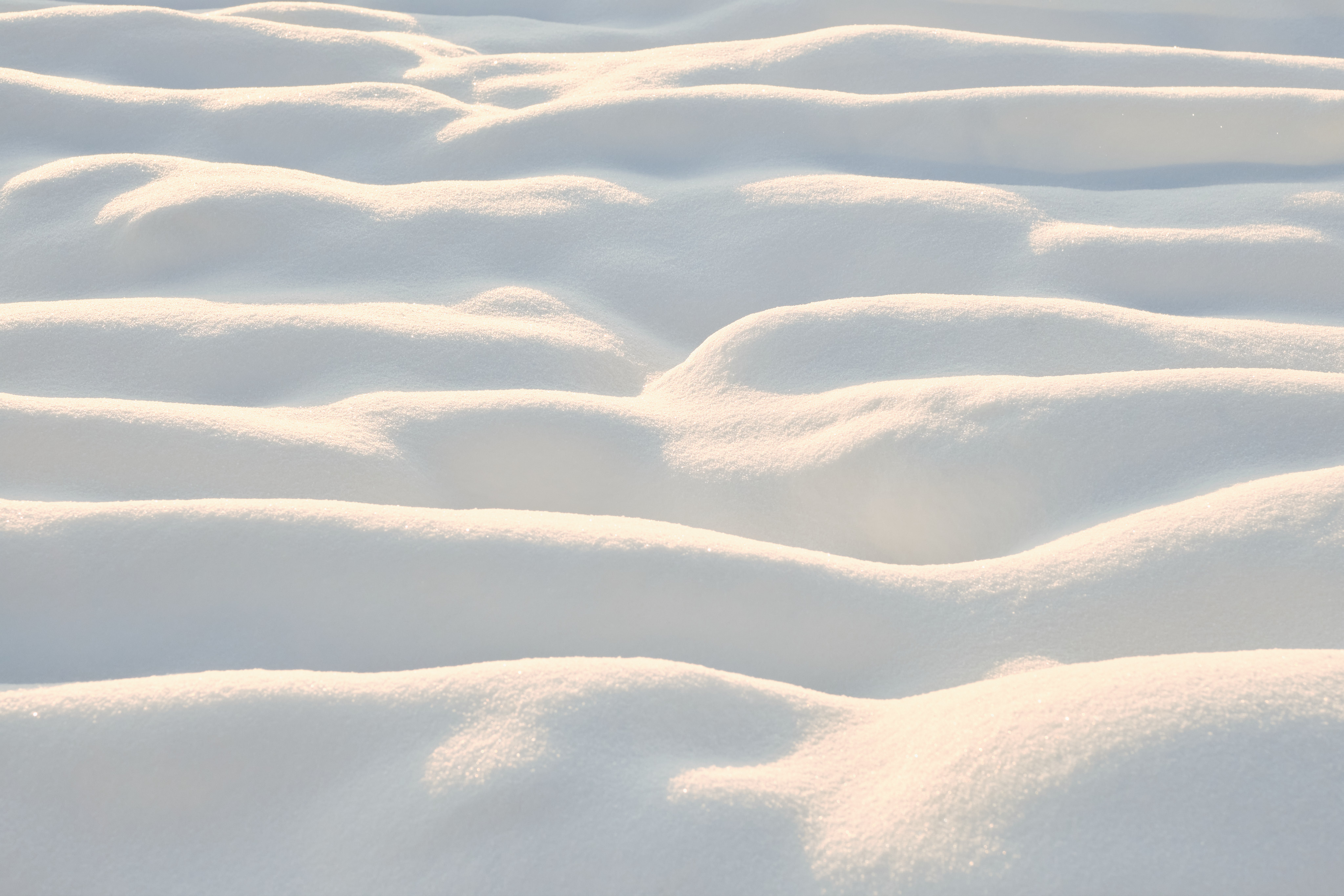 A detail of wavey snow shaped by the wind.