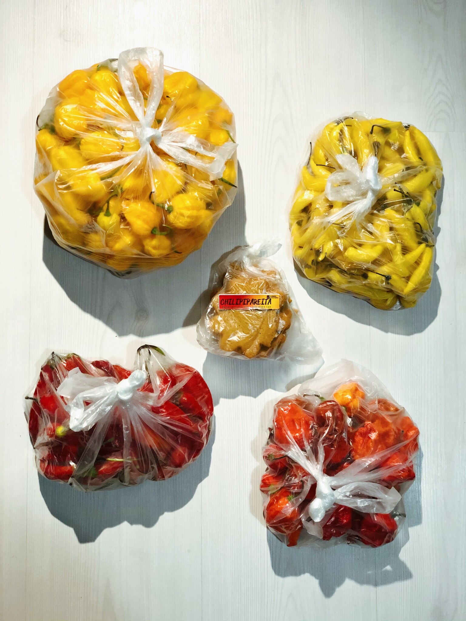 Four bags of chili peppers, left to right top to bottom: Scotch Bonnet, Lemon Drop, Aji Cristal and Carolina Reaper