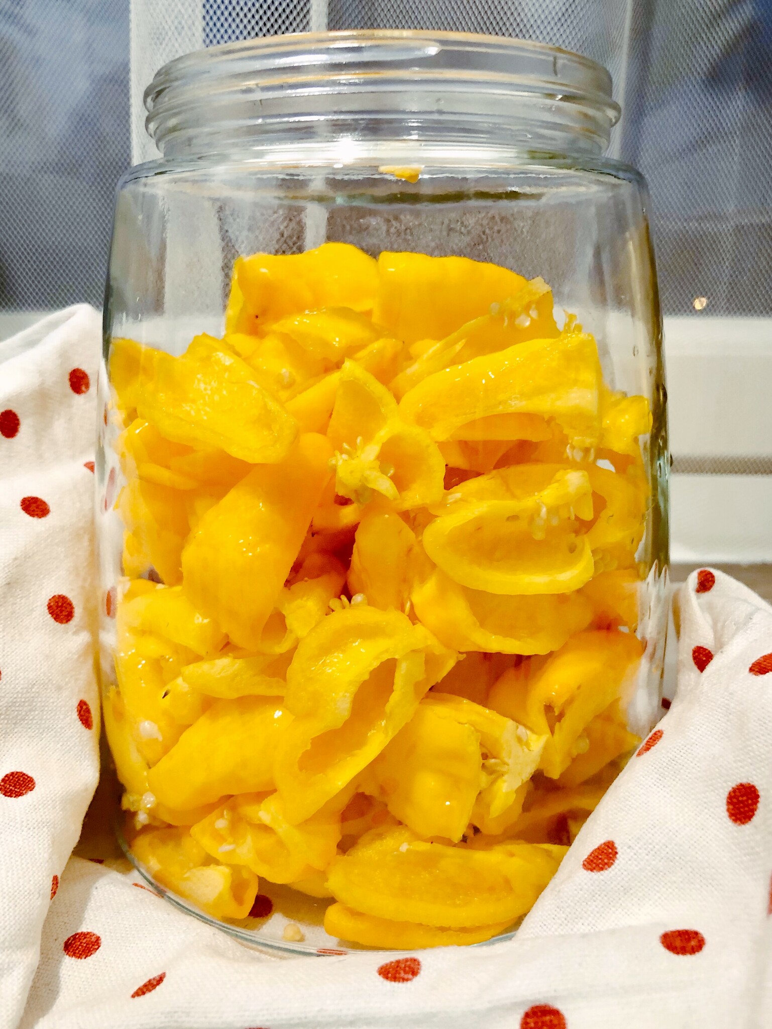 scotch bonnets cut in a fermenting jar