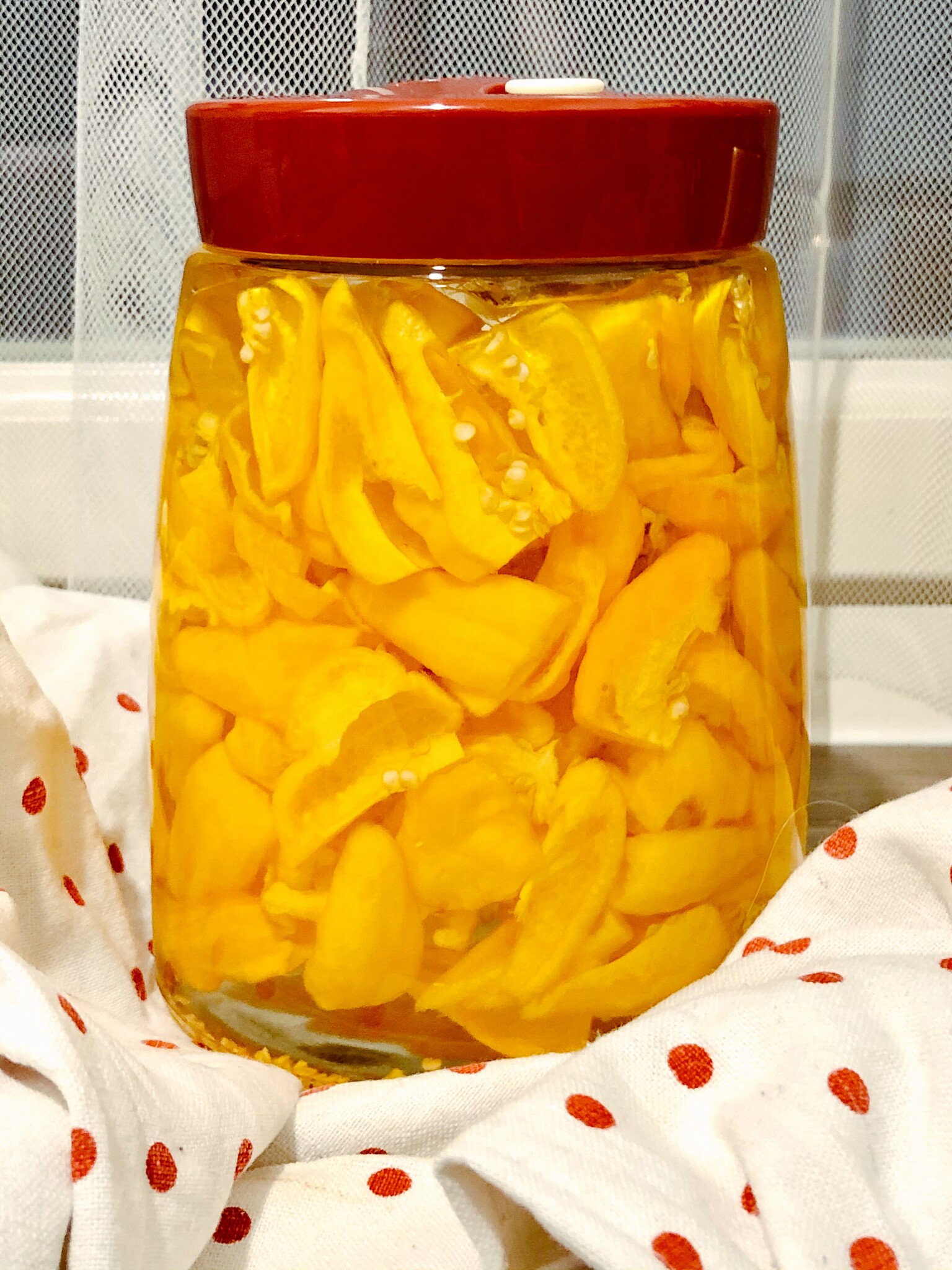 scotch bonnets in a fermenting jar with brine