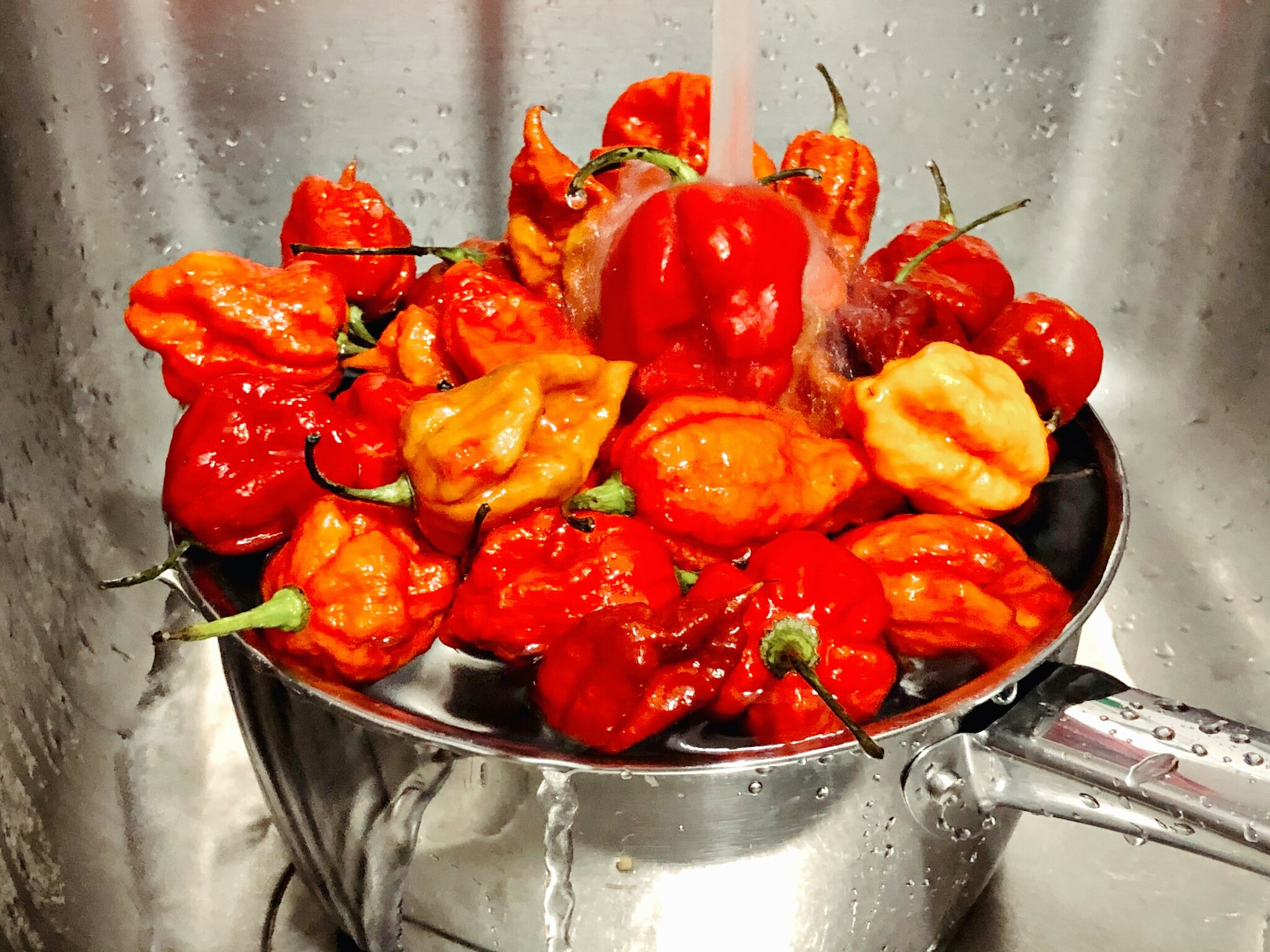 washing carolina reapers